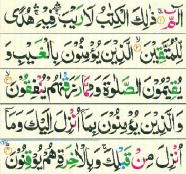 16 lines color coded quran download